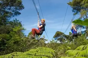 adventure zip line